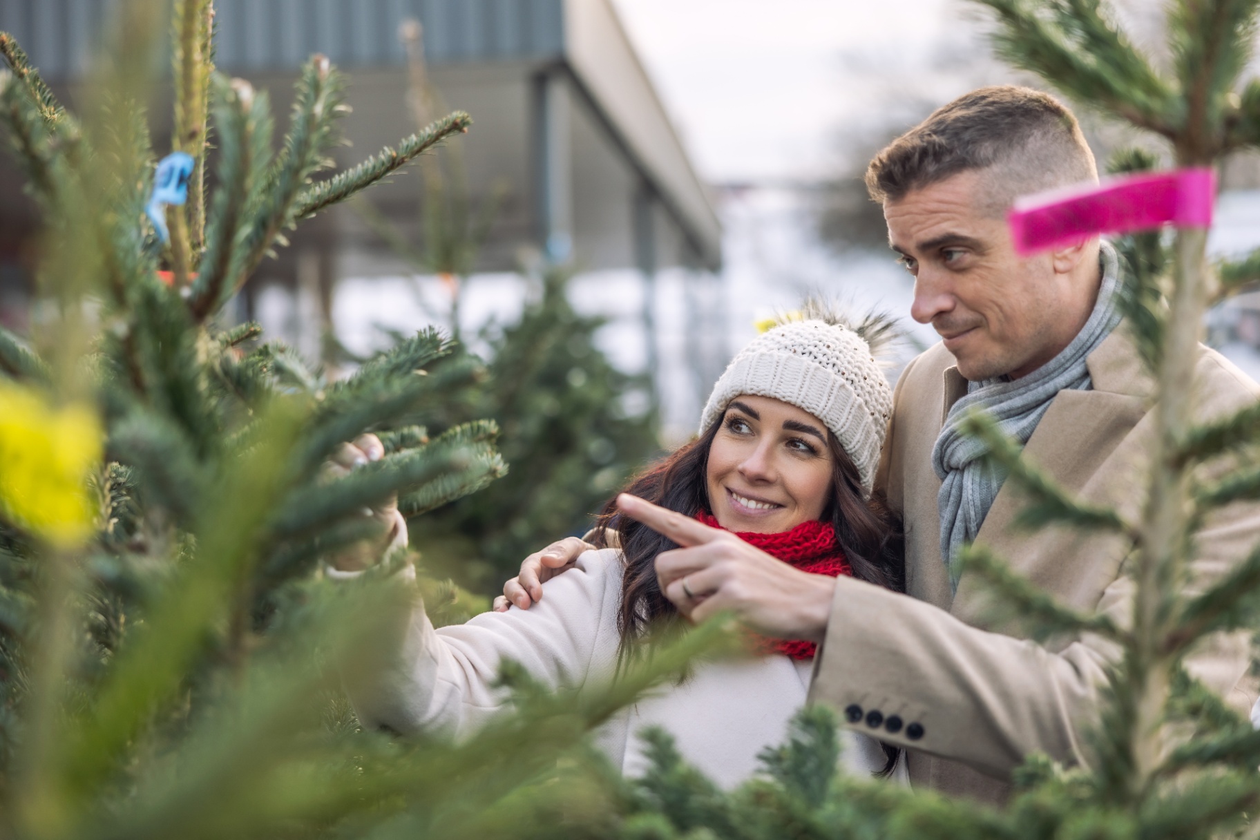 Koppel kiest samen een kerstboom uit op een pop-up verkooppunt