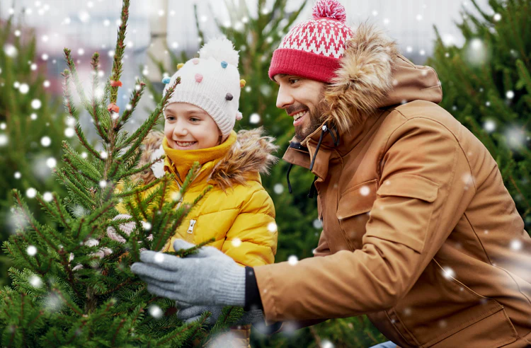 Kerstboom van Frespar
