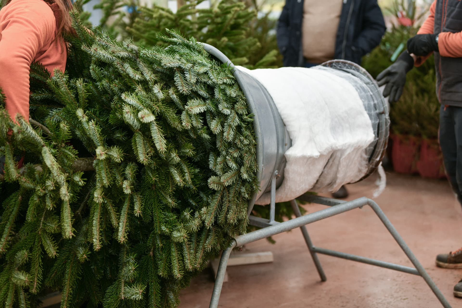 Kerstboom wordt ingepakt in een net