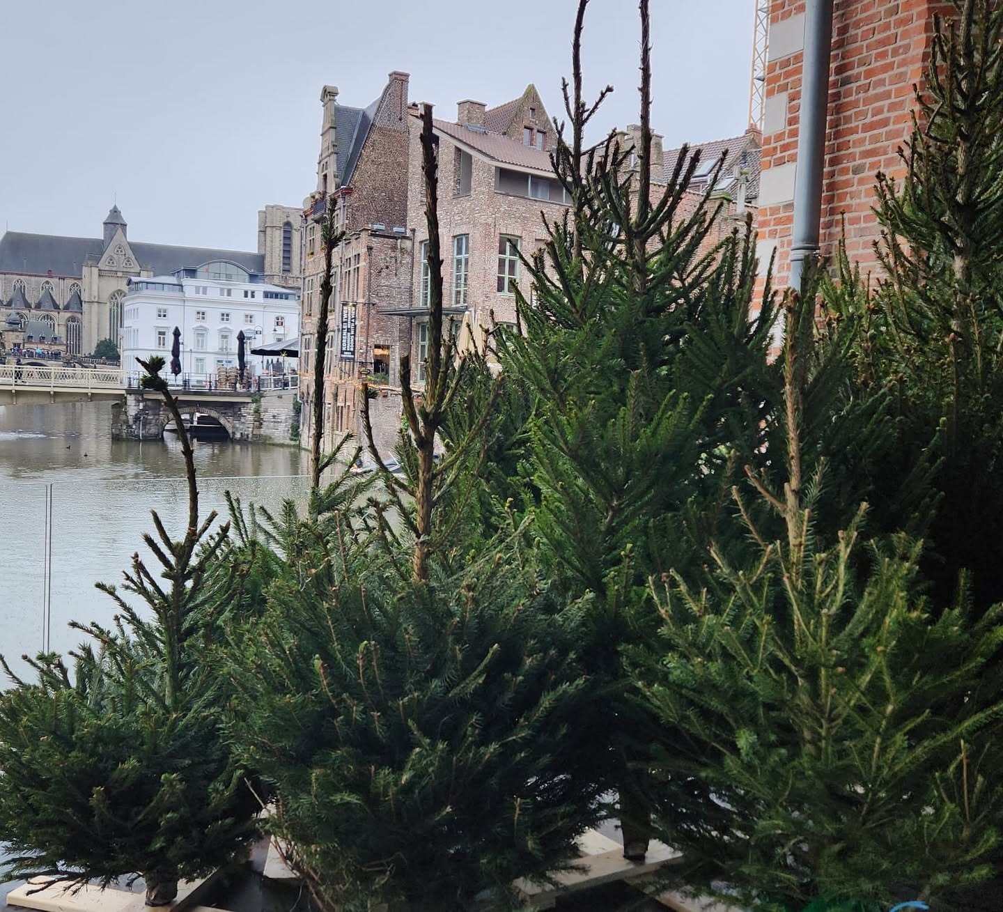 Frespar sfeerbeeld 26
