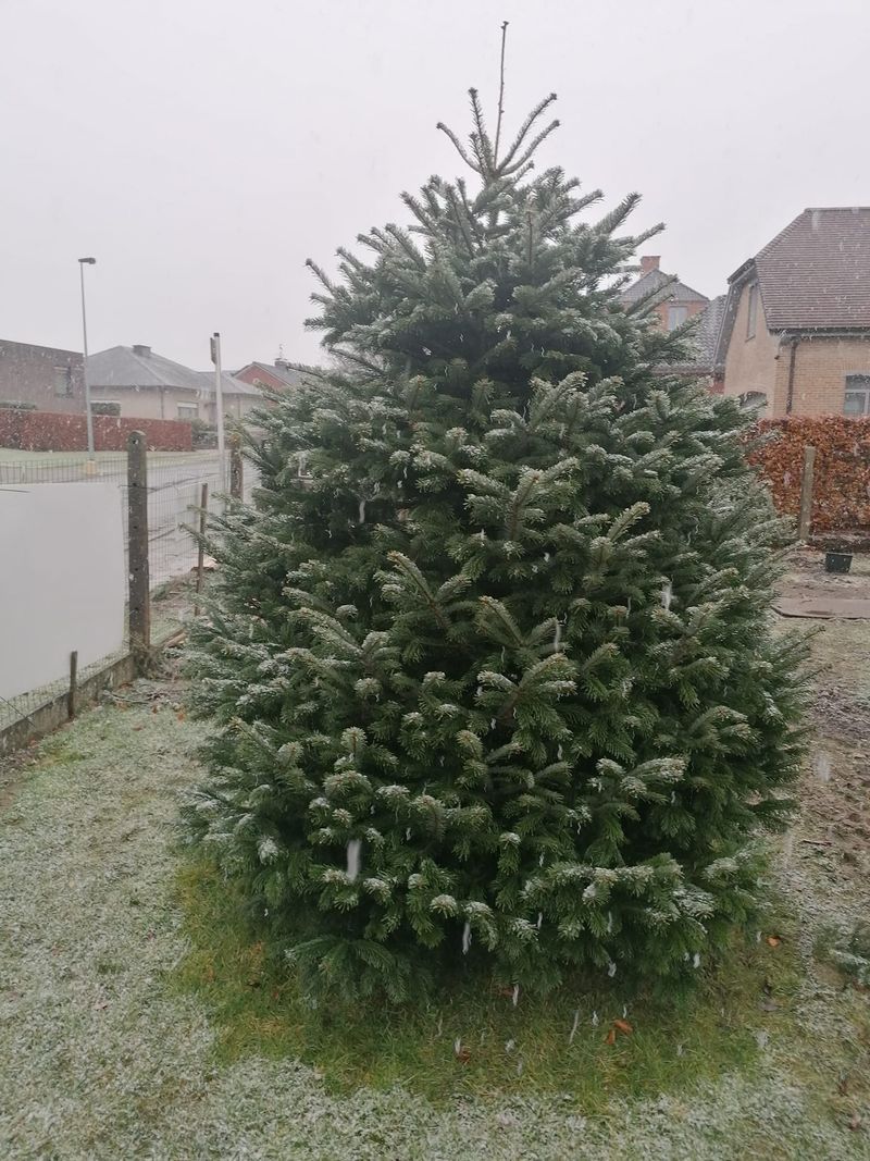 Frespar sfeerbeeld 1